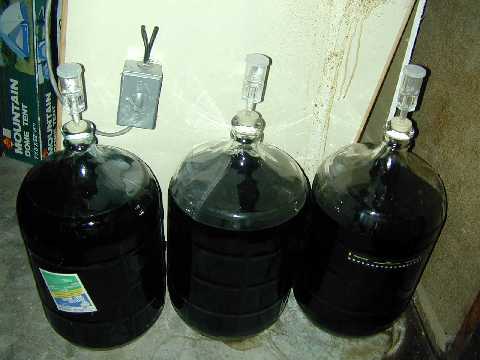 Strong Ale