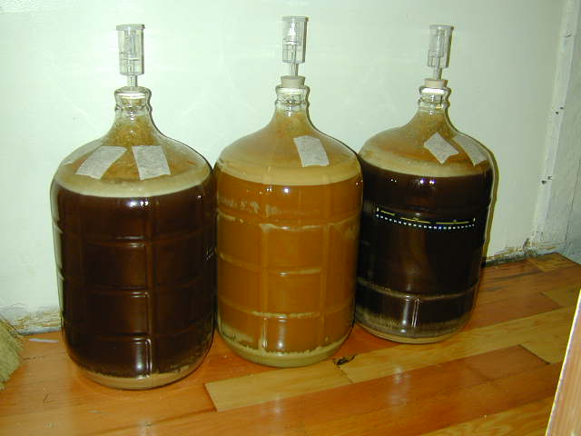 15 gallons of Pale Ale